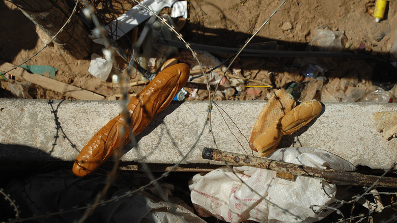 Bread and barbed wire