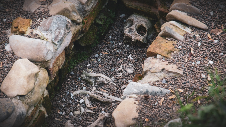 Open grave with an exposed skeleton