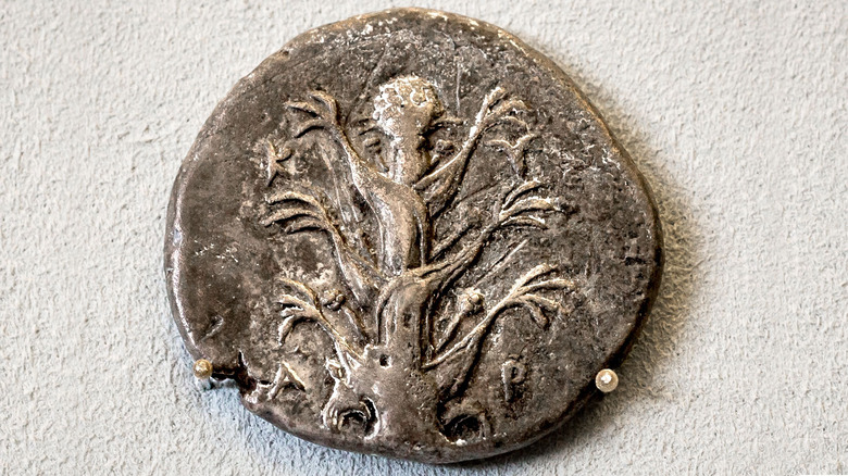 Worn silver coin with a depiction of a silphium plant.