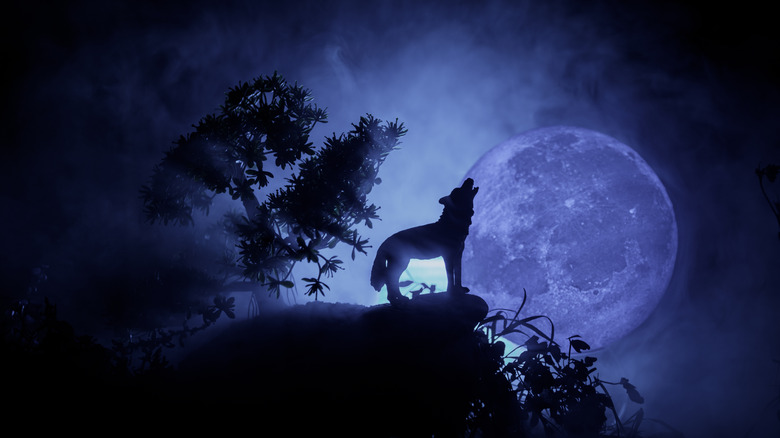 wolf howling at moon