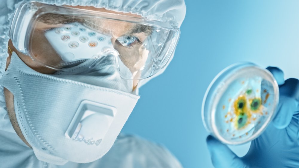 Scientist Wearing Respirator Mask, Coverall and Safety Glasses Looks at Petri Dishes