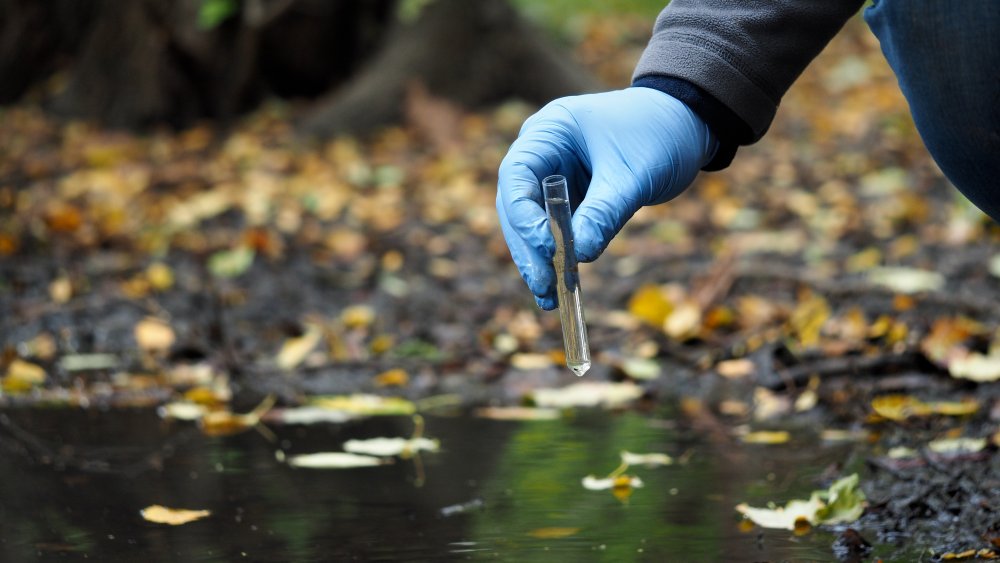 Person holding test sample of water