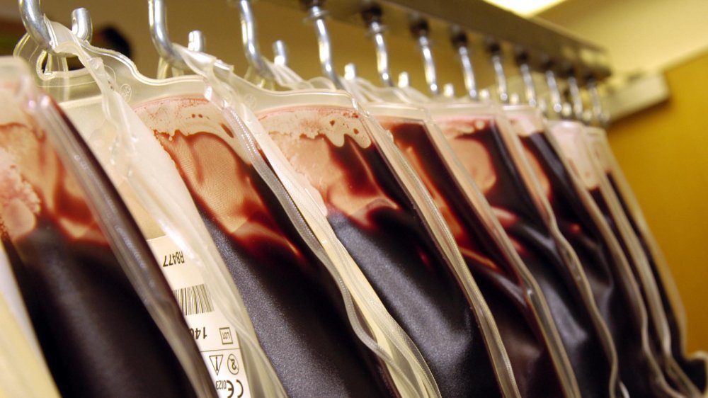 Blood Bags used for the storage of blood after a patient gives blood (2004)