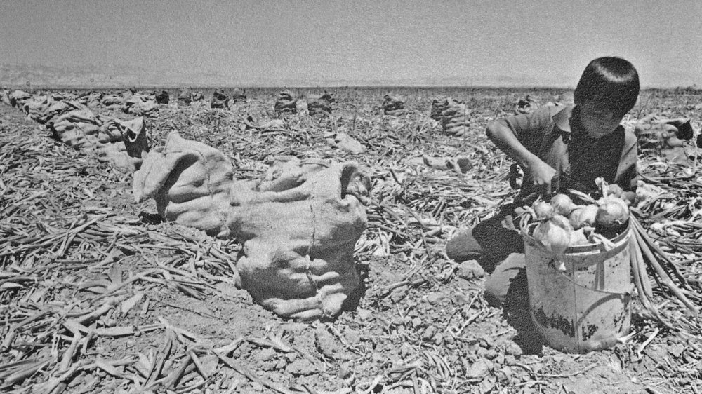 boy in field