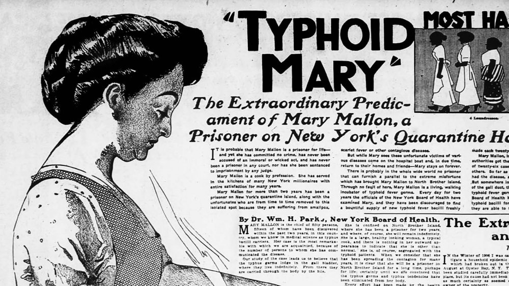 Newspaper article on Typhoid Mary 1912