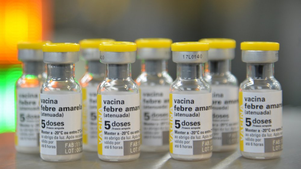 Vials of yellow fever vaccine in São Paulo, Brazil