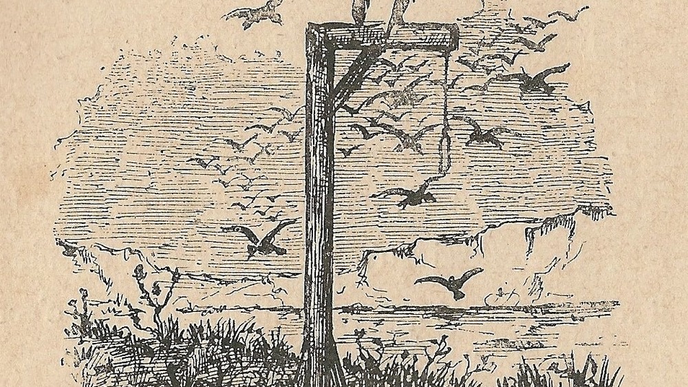 Illustration of a gallows and birds