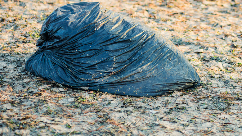 black trash bag in woods