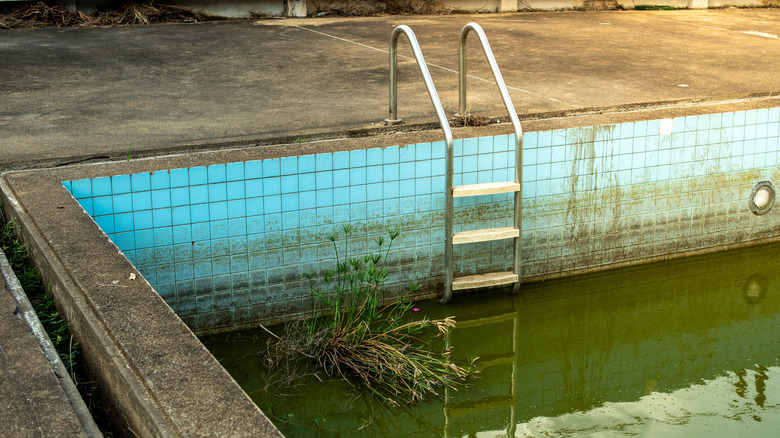 Abandoned pool