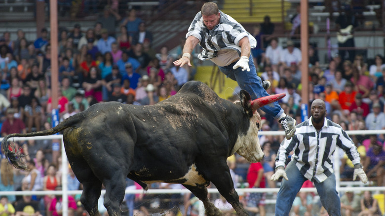 Angola prison rodeo