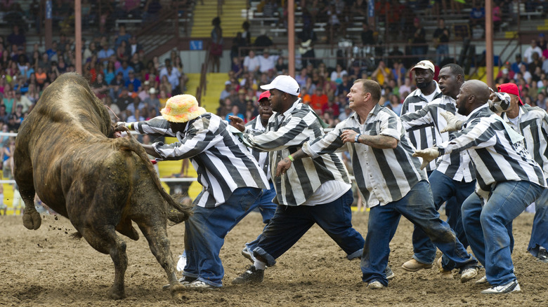 Angola prison rodeo