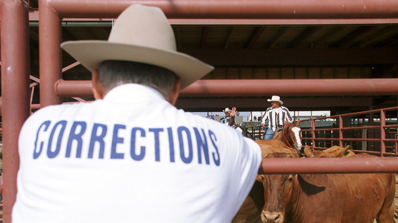 Angola prison rodeo