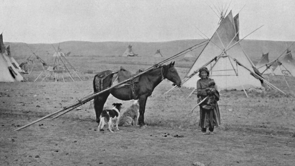 Native American woman, dog, and horse