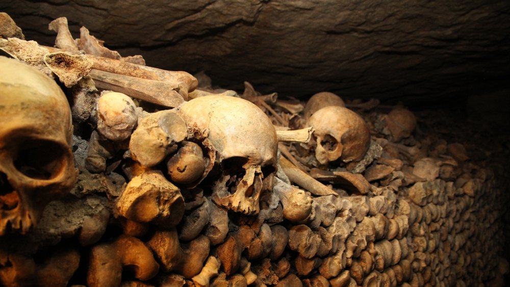 paris catacombs