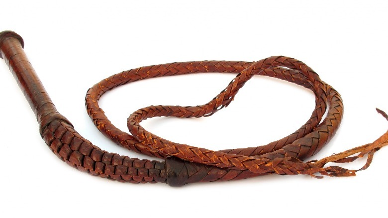 a bullwhip