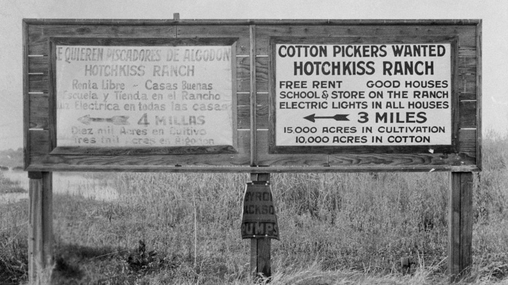 Signs for migrant workers in Spanish and English, Fresno, 1933. 