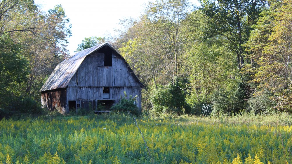 old barn