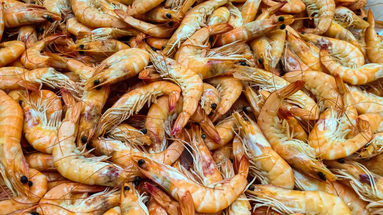 Dozens of fresh shrimp