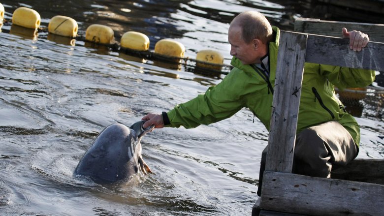 vladmir putin beluga whale 2009