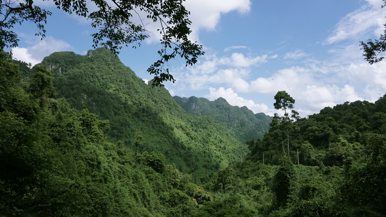 vietnam jungle hills