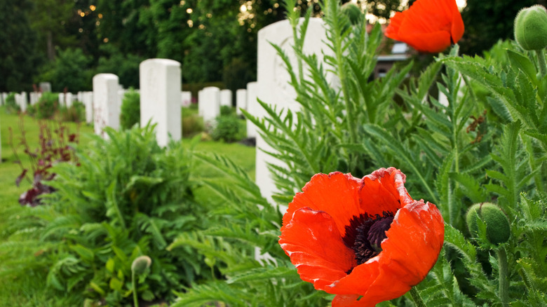 world war i graves at ypres