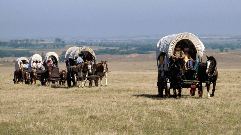 oregon trail style covered wagons