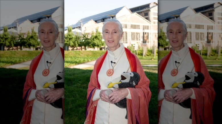 Jane Goodall in red robe with ape plushy