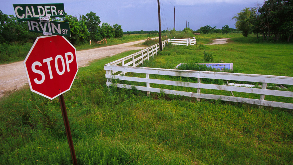 texas I-45 killing fields