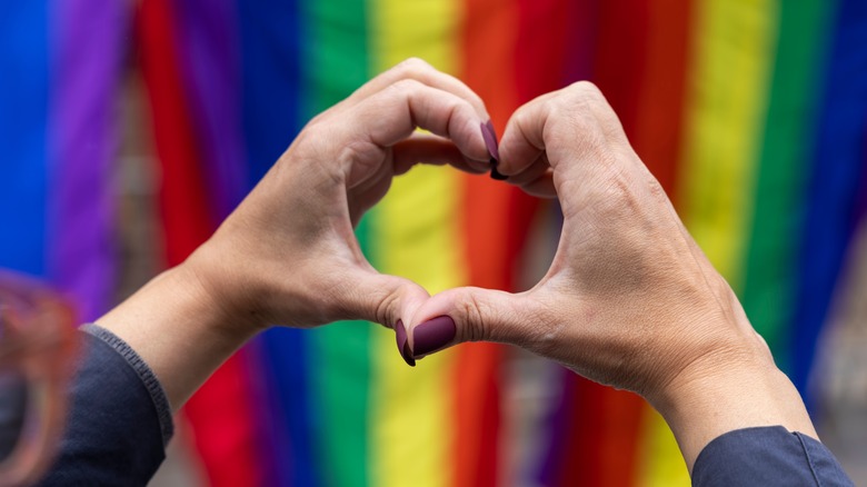 hands shape of a heart gay pride rainbow flag