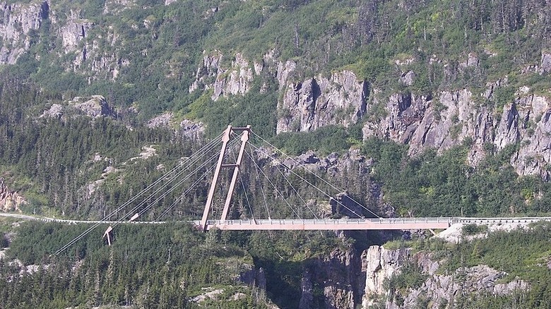 Captain William Moore suspension bridge  in mountains