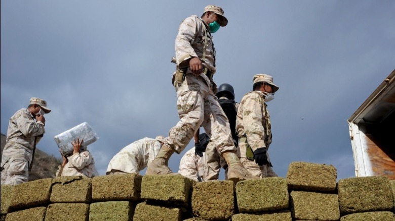 Soldier walks over heap of Tijuana cannabis