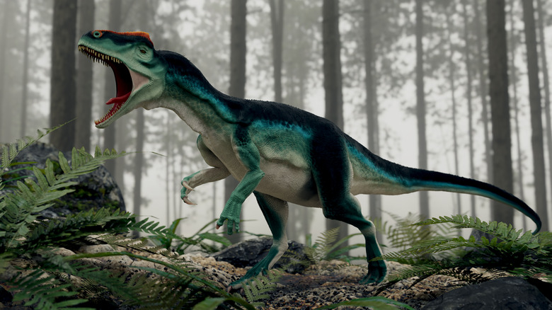 Allosaurus fragilis roaring in forest