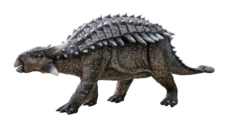 Ankylosaurus reconstruction showing armored skin and ball tail