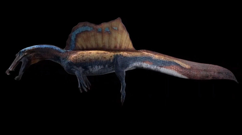 3D model of Spinosaurus aegyptiacus