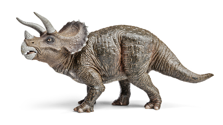Triceratops toy 