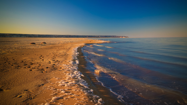 aral sea island