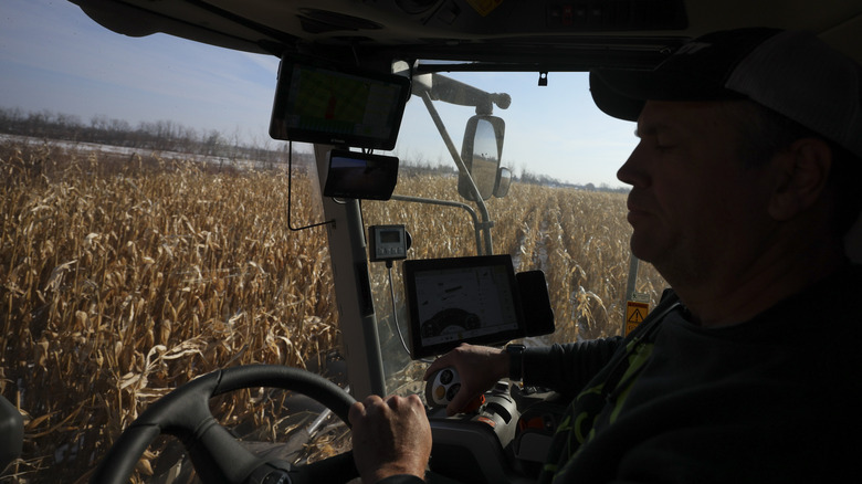 Farmer harvests corn