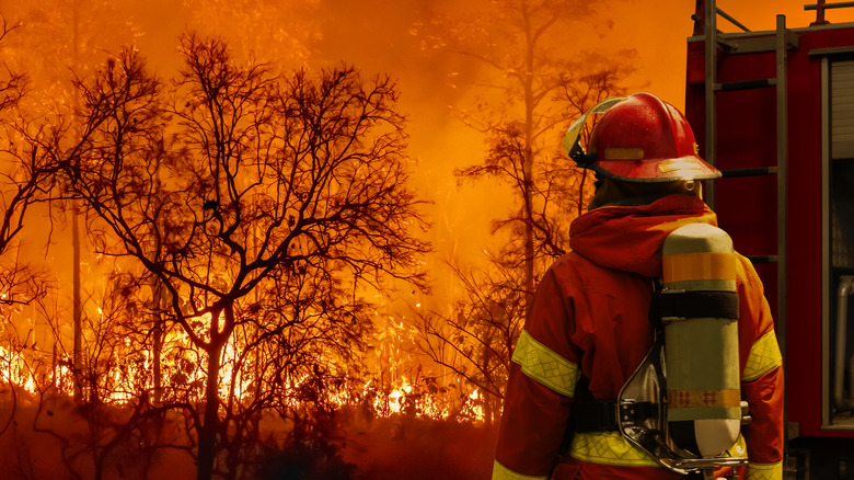 Firefighter extinguishing wildfire