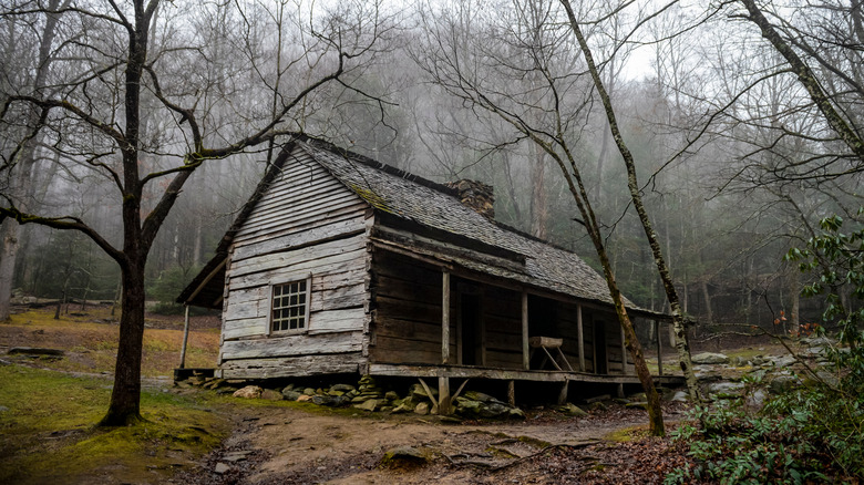 Cabin in the woods