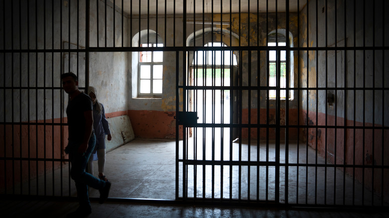 Two people coming through cell bars