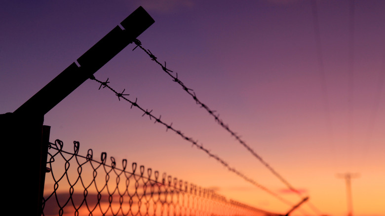 Barbed wire fence sunset