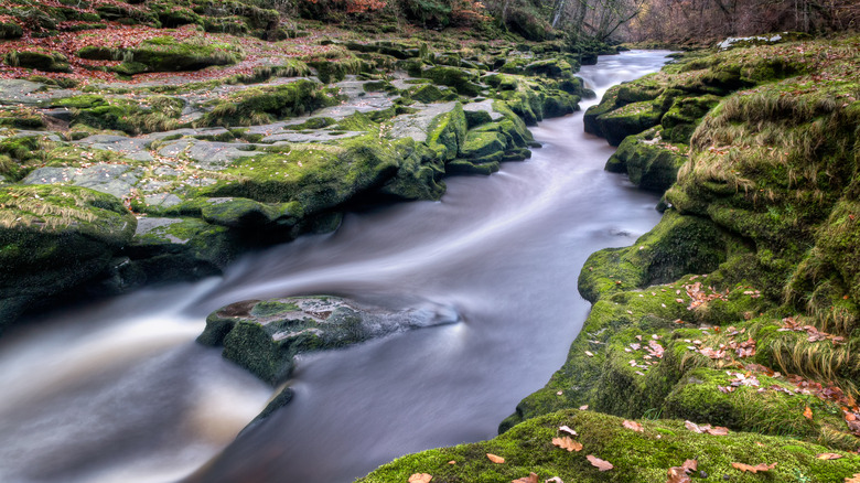 bolton strid river yorkshire