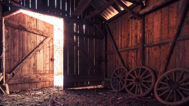 abandoned farm