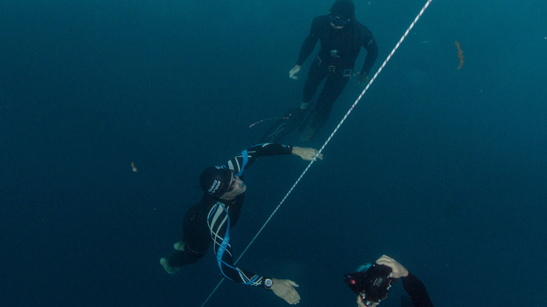 Three freedivers