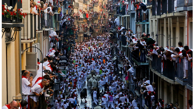 running bulls pamplona