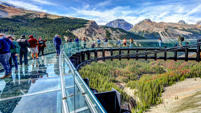 skywalk glass bridge alberta