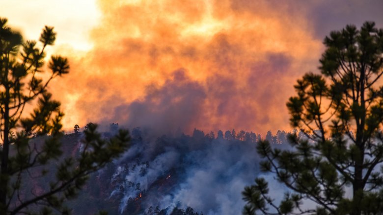 wildfire burning smoke plumes