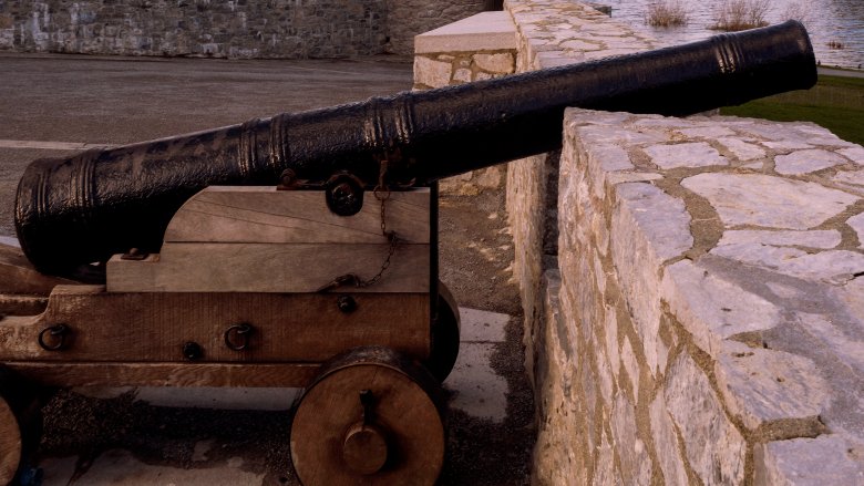 Cannon