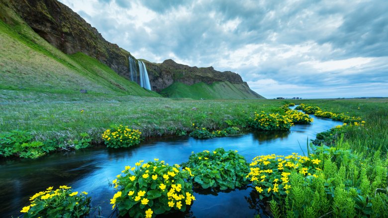 iceland green valley waterfall