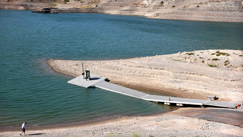 A floating dock at Mead